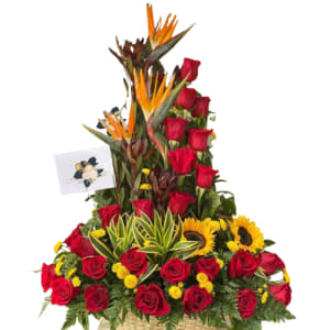 Flores a Domicilio Manizales